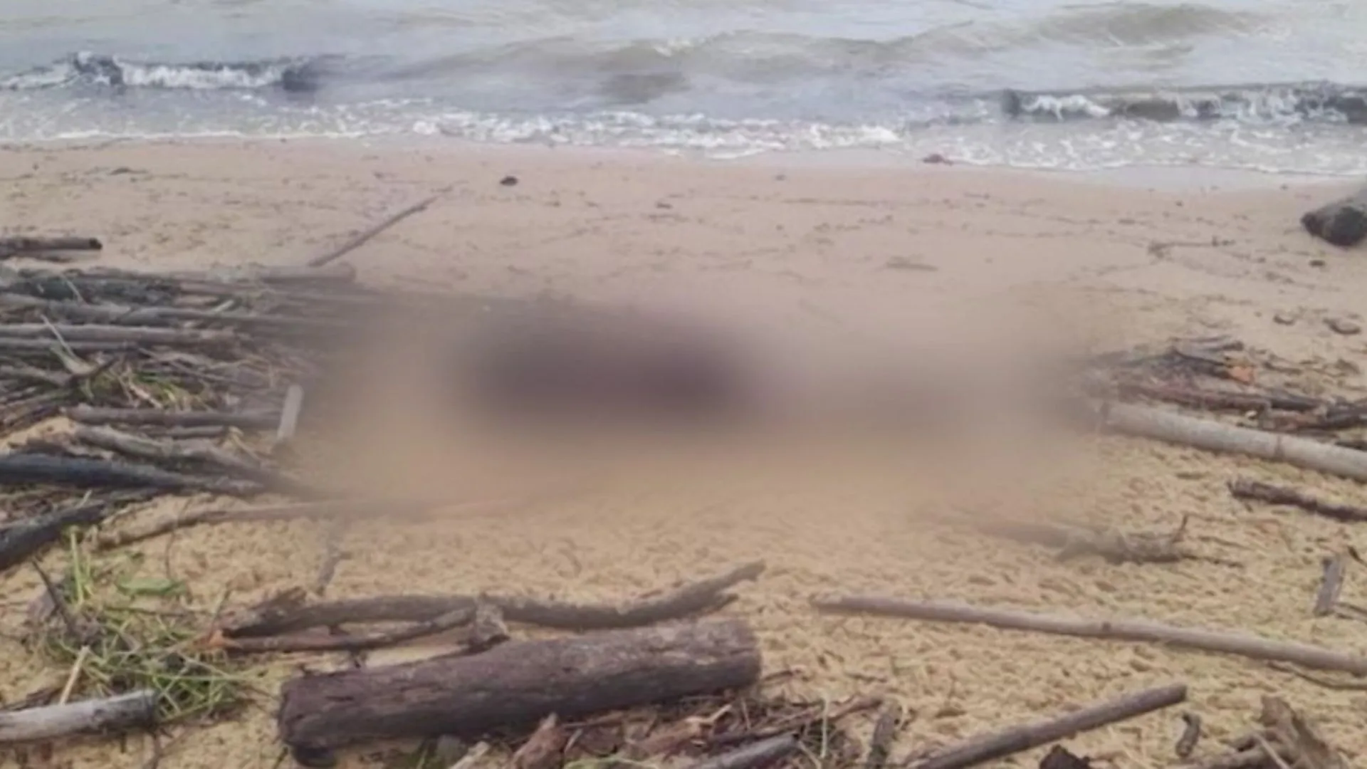 Sequência de crimes deixa 5 mortos em um dia na Grande Florianópolis