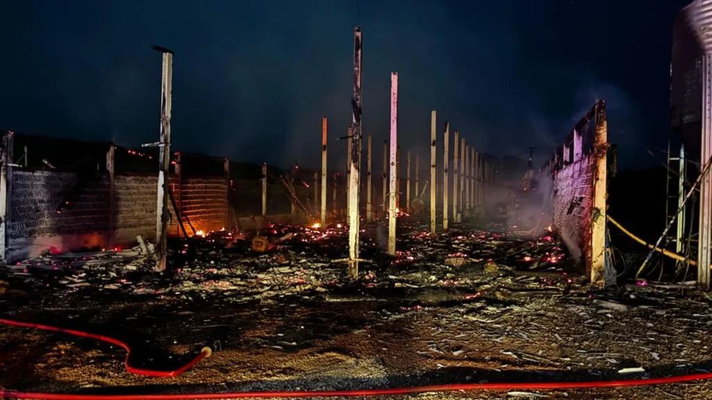 Aviário é totalmente destruído por incêndio durante a madrugada