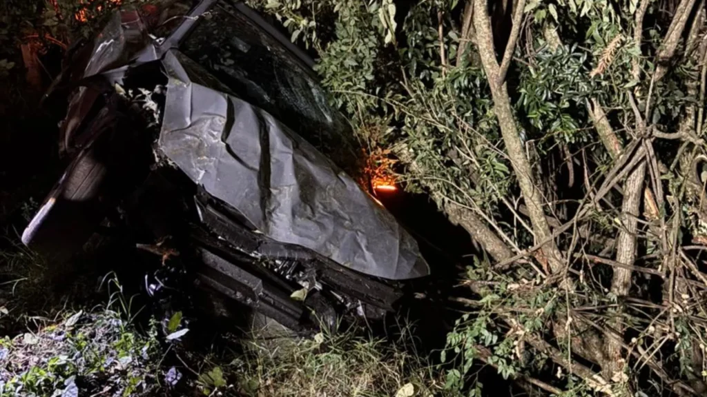 Jetta sai da pista e colide contra árvores em Salto Veloso