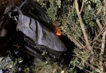 Jetta sai da pista e colide contra árvores em Salto Veloso Jetta sai da pista e colide contra árvores em Salto Veloso