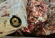 Carne adulterada? Operação fecha frigorífico e lacra depósito Carne adulterada? Operação fecha frigorífico e lacra depósito
