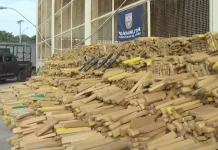 Polícia apreende quase 50 toneladas de maconha em única operação Polícia apreende quase 50 toneladas de maconha em operação