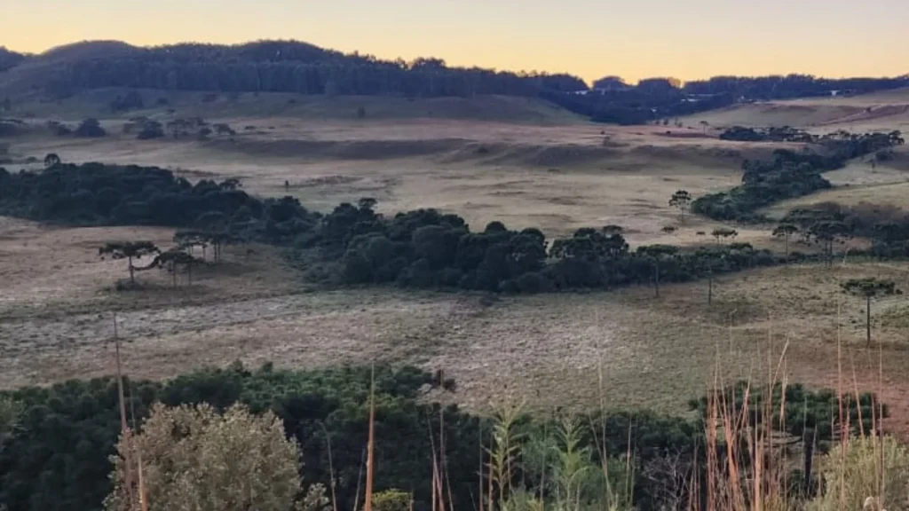 Frio intenso derruba temperaturas na Serra Catarinense registra 0ºC