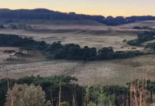 Frio intenso derruba temperaturas na Serra Catarinense registra 0ºC Frio intenso derruba temperaturas na Serra Catarinense registra 0ºC