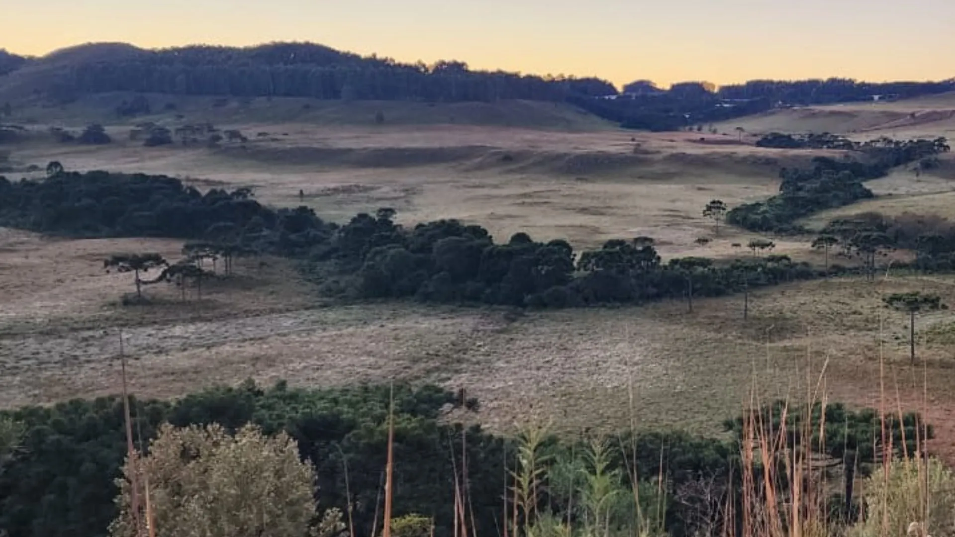 Frio intenso derruba temperaturas na Serra Catarinense registra 0ºC