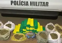 Adolescente de 15 anos é apreendida com 42 kg de maconha em ônibus interestadual Adolescente de 15 anos é apreendida com 42 kg de maconha em ônibus interestadual