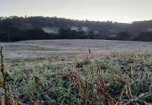 Frio intenso derruba temperaturas e provoca geada no Meio-Oeste de SC Frio intenso derruba temperaturas e provoca geada no Meio-Oeste de SC