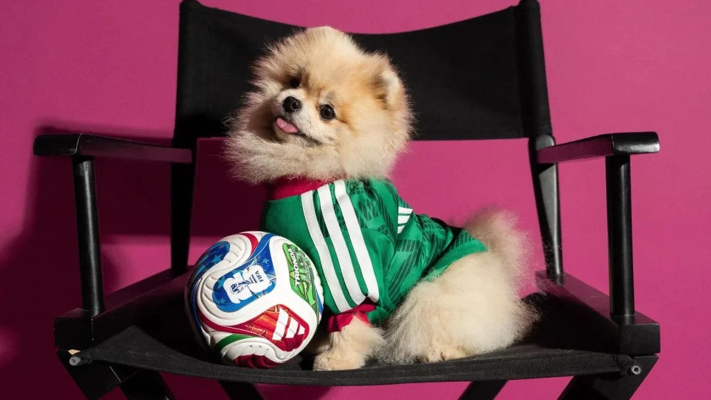 Adidas lança camisas da Copa do Mundo 2026 para pet's
