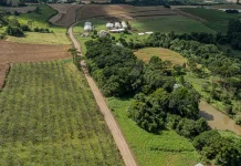 Videira publica edital para pavimentação de 4,1 km entre comunidades rurais Videira publica edital para pavimentação de 4,1 km entre comunidades rurais