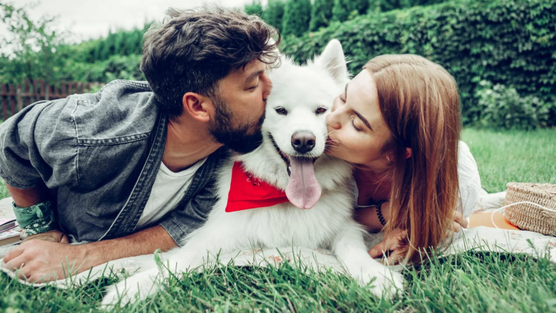 Senado aprova lei de guarda compartilhada de animais em separações