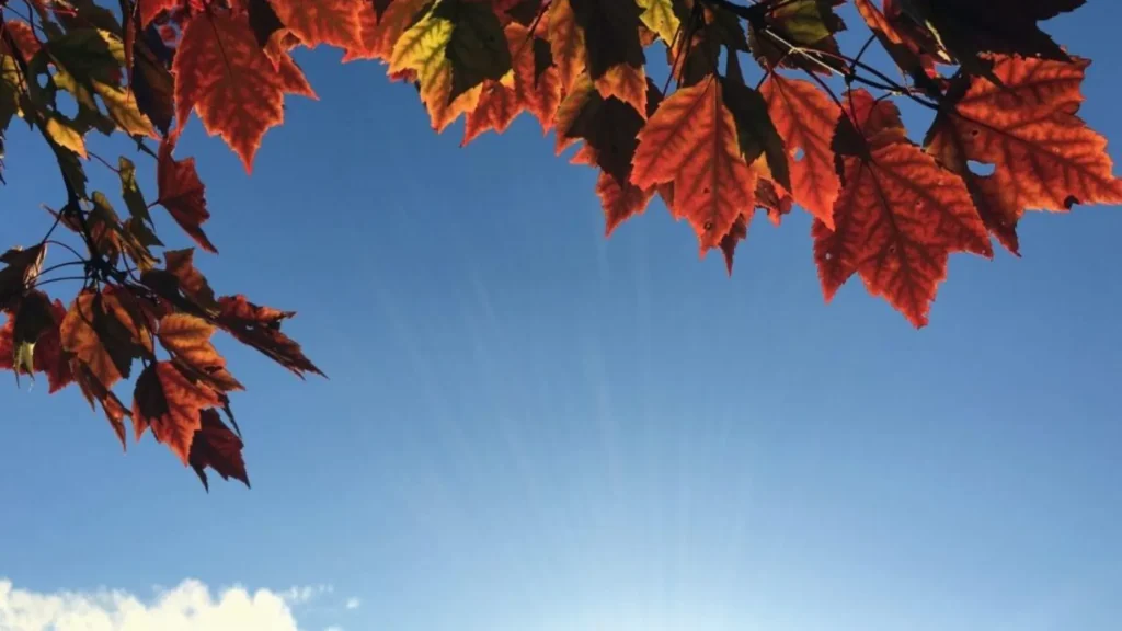 De geada a 32°C: Santa Catarina terá dias de extremos