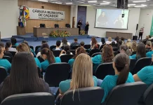 Workshop amplia debate sobre autismo em Caçador Workshop amplia debate sobre autismo em Caçador