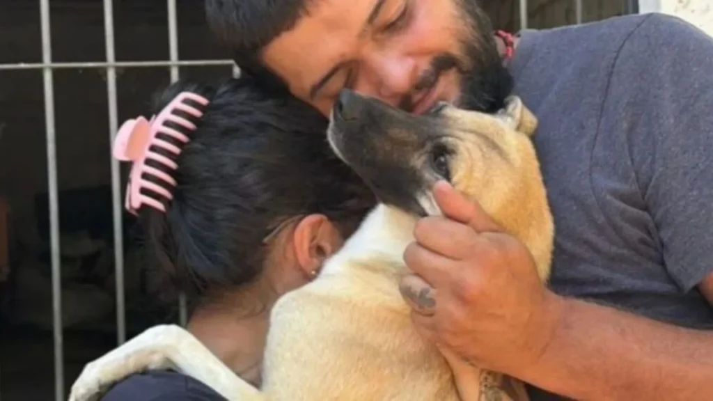 Cão desaparecido há 5 meses reencontra família