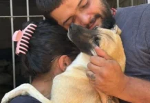 Cão desaparecido há 5 meses reencontra família Cão desaparecido há 5 meses reencontra família