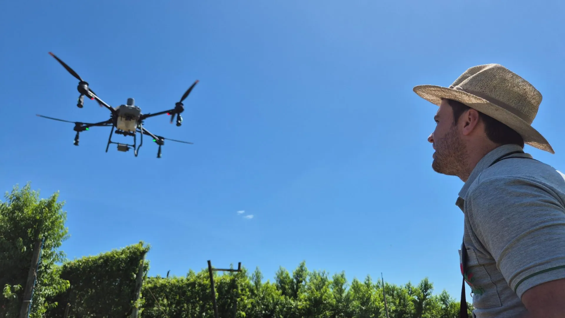 Epagri estuda técnicas de pulverização com drone em Videira