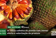 RBV Notícias Caçanjurê – 06/04/2026 – Edição 1522 RBV Notícias Caçanjurê – 06/04/2026 – Edição 1522