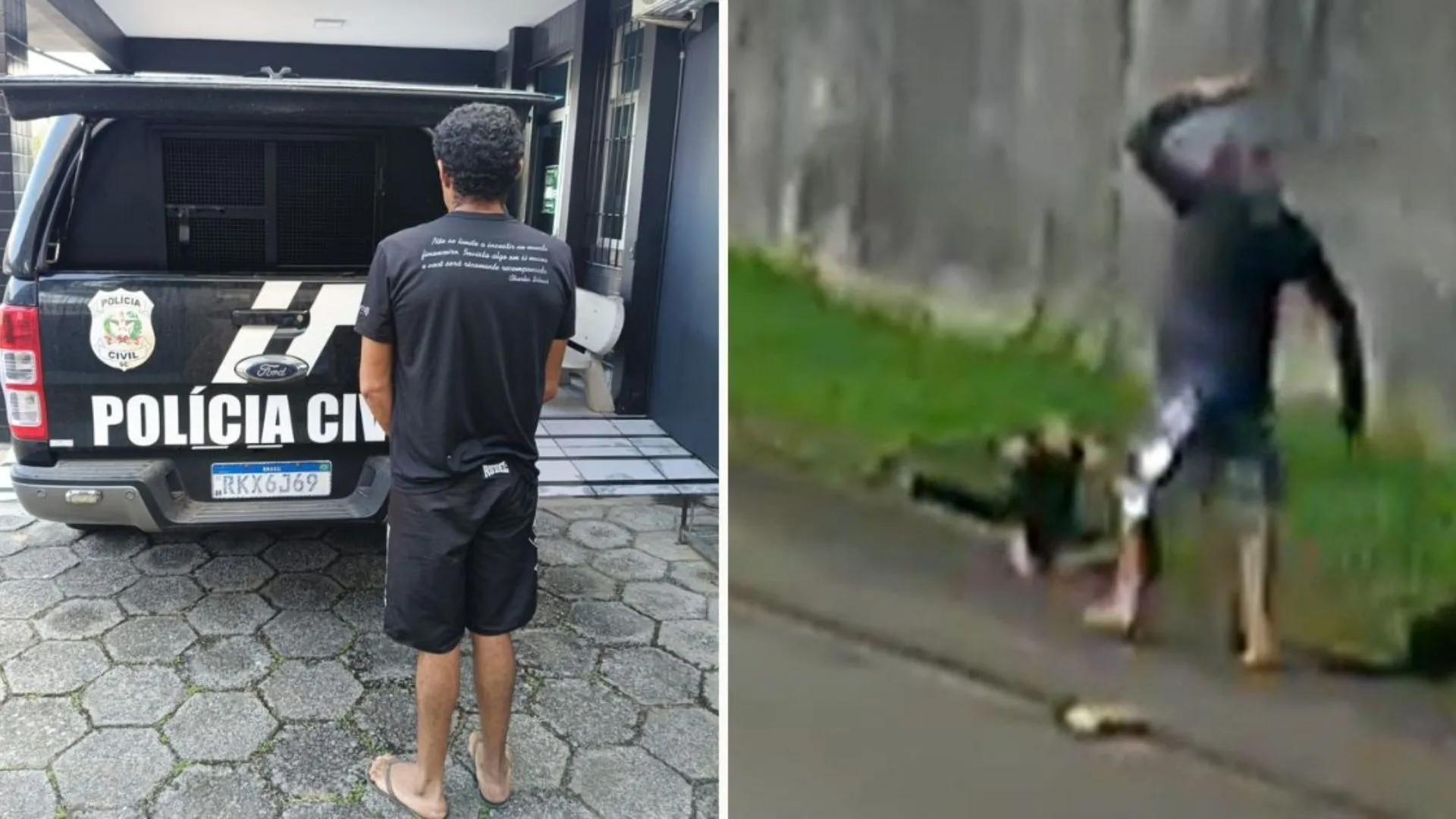 Suspeito de matar tamanduá a pauladas é preso em SC