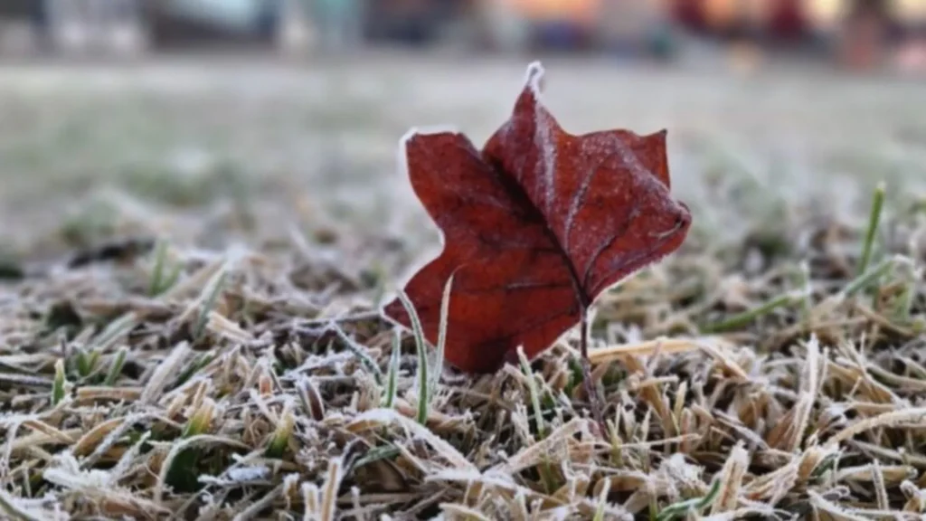 Massa de ar polar provoca frio intenso em Santa Catarina