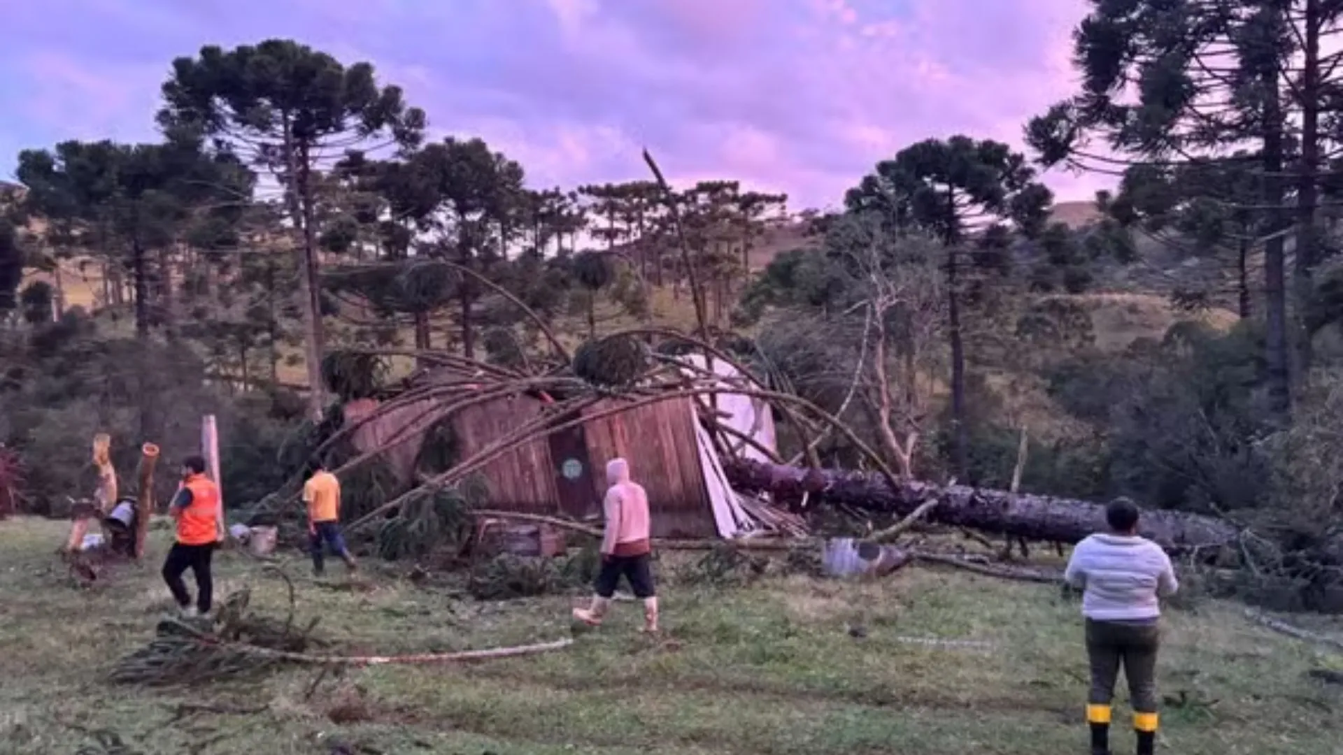 Defesa Civil investiga possível tornado em Santa Catarina