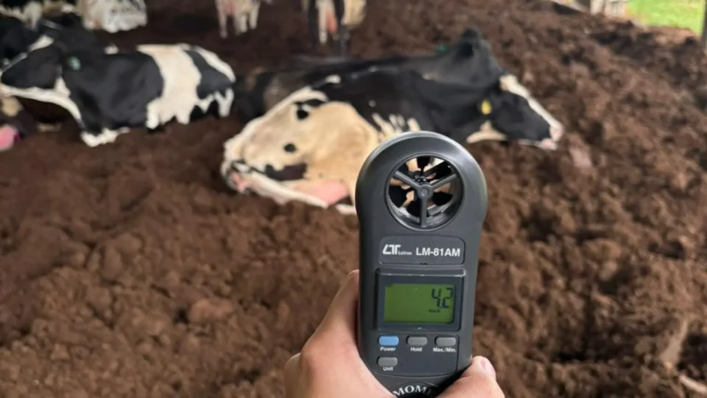 Estudo do IFC Videira analisa impacto do calor no bem-estar e na produção de vacas leiteiras