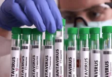 Estado registra caso de hantavirose e reforça alerta de prevenção Estado registra caso de hantavirose e reforça alerta de prevenção