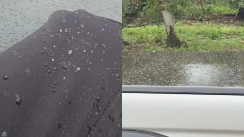 Serra catarinense registra chuva congelada neste sábado