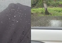 Serra catarinense registra chuva congelada neste sábado Serra catarinense registra chuva congelada neste sábado
