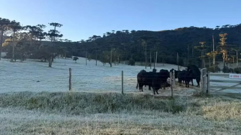 Termômetros despencam e Serra catarinense registra -3°C