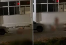 Vídeo de homens nus brigando em rua de Navegantes repercute nas redes sociais Vídeo de homens nus brigando em rua de Navegantes repercute nas redes sociais
