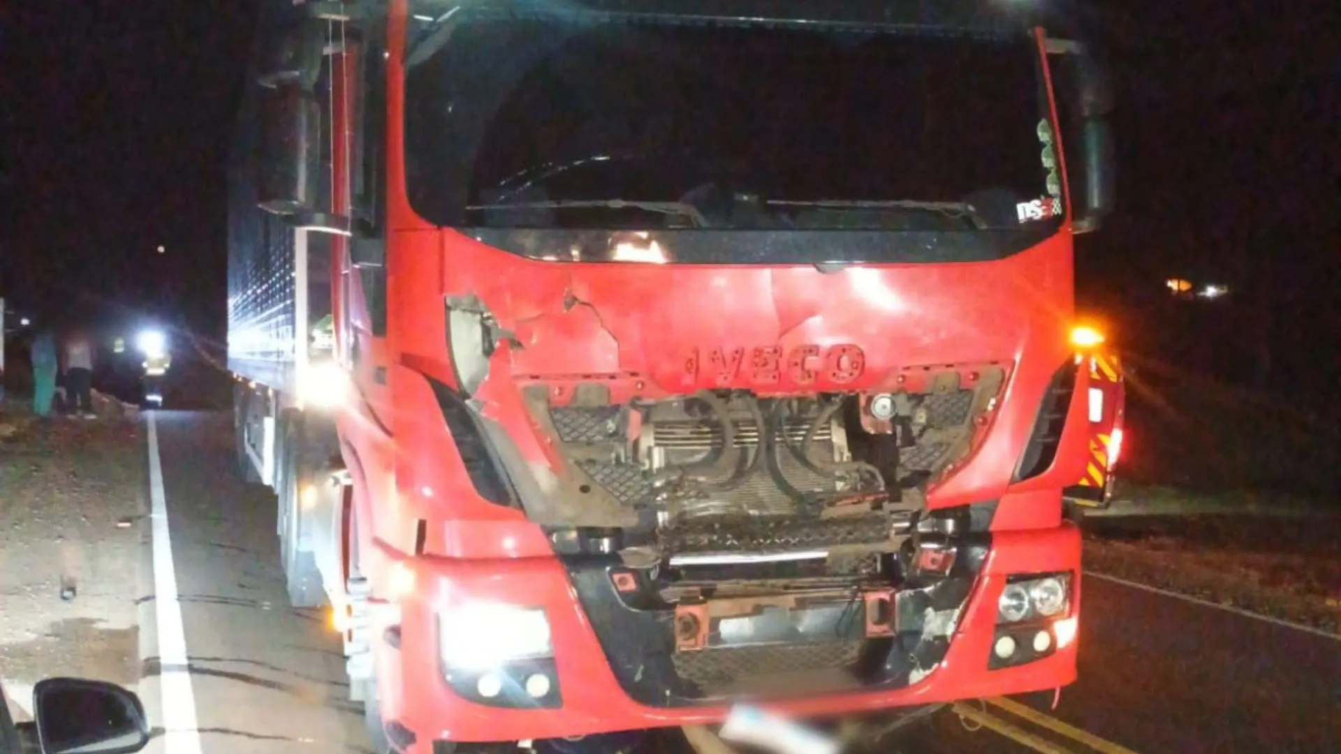 Cavalo invade pista e é atingido por caminhão na SC-355 em Lebon Régis