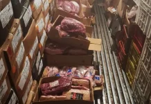 Polícia Militar recupera 1,4 tonelada de carne furtada horas após o crime Polícia Militar recupera 1,4 tonelada de carne furtada horas após o crime