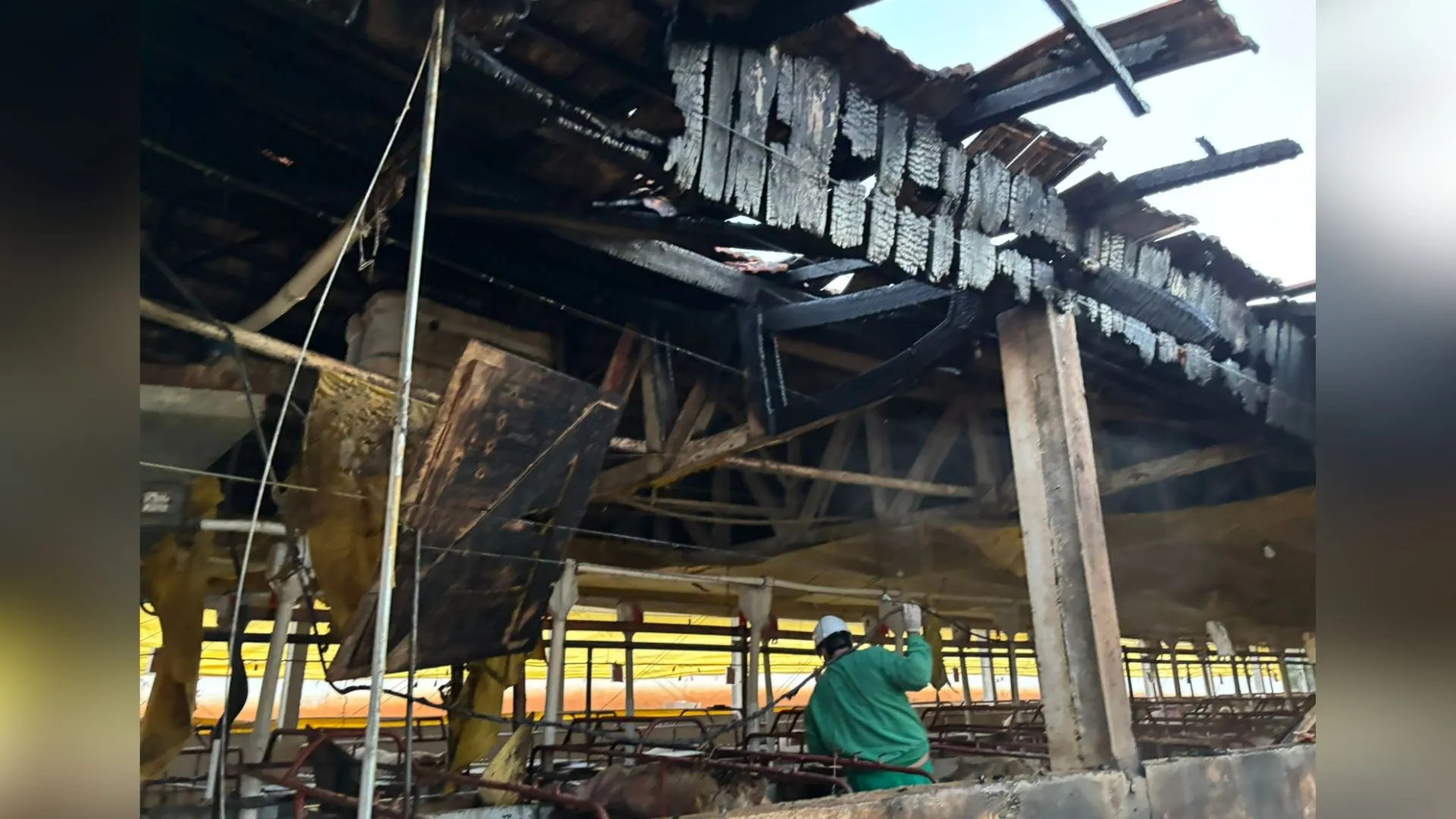 Incêndio destrói parte de granja de suinocultura no interior de Videira