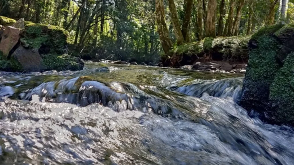 Estudo sobre a água na Bacia do Rio do Peixe é aprovado por unanimidade