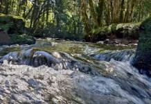 Estudo sobre a água na Bacia do Rio do Peixe é aprovado por unanimidade Estudo sobre a água na Bacia do Rio do Peixe é aprovado por unanimidade