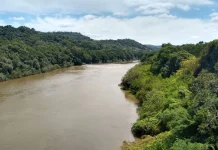 Comitê Peixe promove oficinas sobre o futuro dos rios da bacia Comitê Peixe promove oficinas sobre o futuro dos rios da bacia