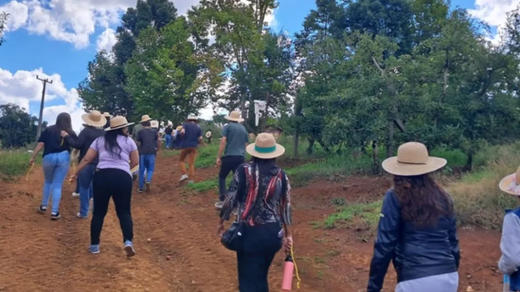 Jovens de serviços de acolhimento participam de experiências no campo e na indústria em Fraiburgo