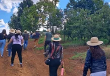 Jovens de serviços de acolhimento participam de experiências no campo e na indústria em Fraiburgo Jovens de serviços de acolhimento participam de experiências no campo e na indústria em Fraiburgo