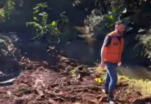 Pinheiro Preto realiza limpeza e desassoreamento de rios para prevenir impactos das chuvas Pinheiro Preto realiza limpeza e desassoreamento de rios para prevenir impactos das chuvas