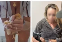 Mulher é presa por gravar e vender vídeos de tortura contra animais Mulher é presa por gravar e vender vídeos de tortura contra animais