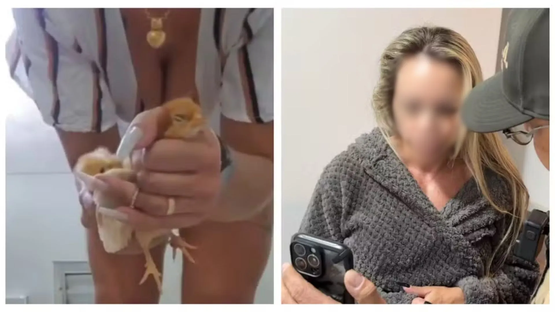 Mulher é presa por gravar e vender vídeos de tortura contra animais