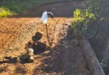 Ponte na Linha Santo Antônio é interditada em Rio das Antas para reparos Ponte na Linha Santo Antônio é interditada em Rio das Antas para reparos