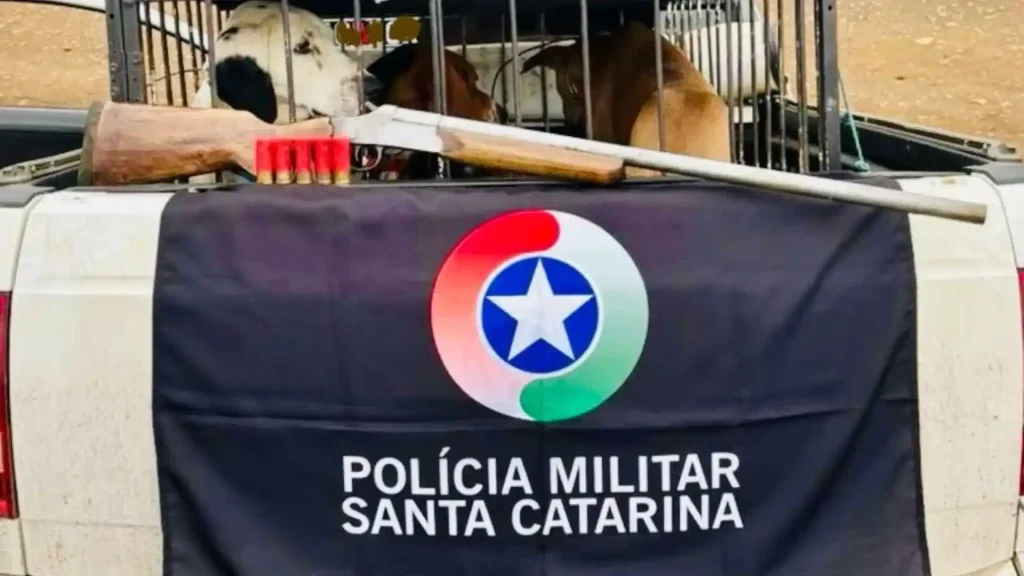 Polícia Ambiental apreende arma após perseguição e acidente em Monte Carlo