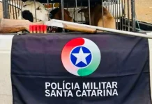 Polícia Ambiental apreende arma após perseguição e acidente em Monte Carlo Polícia Ambiental apreende arma após perseguição e acidente em Monte Carlo