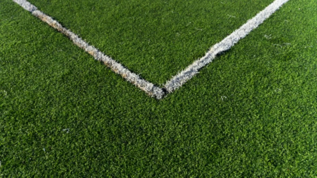 Publicidade das bets no futebol brasileiro divide opiniões entre mercado, torcedores e políticos
