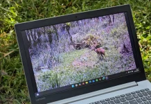 VÍDEO: Armadilhas fotográficas revelam biodiversidade em áreas de preservação florestal Armadilhas fotográficas revelam biodiversidade em áreas de preservação florestal