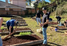Acadêmicos de Agronomia implantam horta escolar em Caçador Acadêmicos de Agronomia implantam horta escolar em Caçador