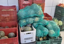 Aquisição de alimentos fortalece produtores e entidades em Caçador Aquisição de alimentos fortalece produtores e entidades em Caçador