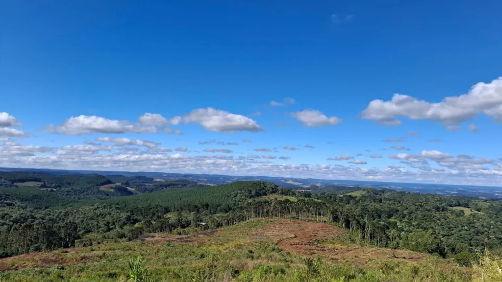 Terça-feira será estável em Santa Catarina