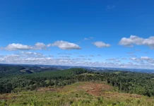 Terça-feira será estável em Santa Catarina Terça-feira será estável em Santa Catarina