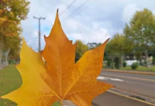 Quarta-feira terá tempo firme em Santa Catarina Quarta-feira terá tempo firme em Santa Catarina